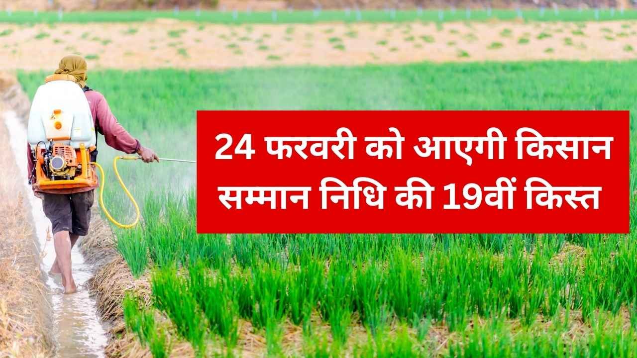 बल्ले बल्ले 24 फरवरी को आएगी किसान सम्मान निधि की 19वीं किस्त कैसे चेक करेंगे देखें